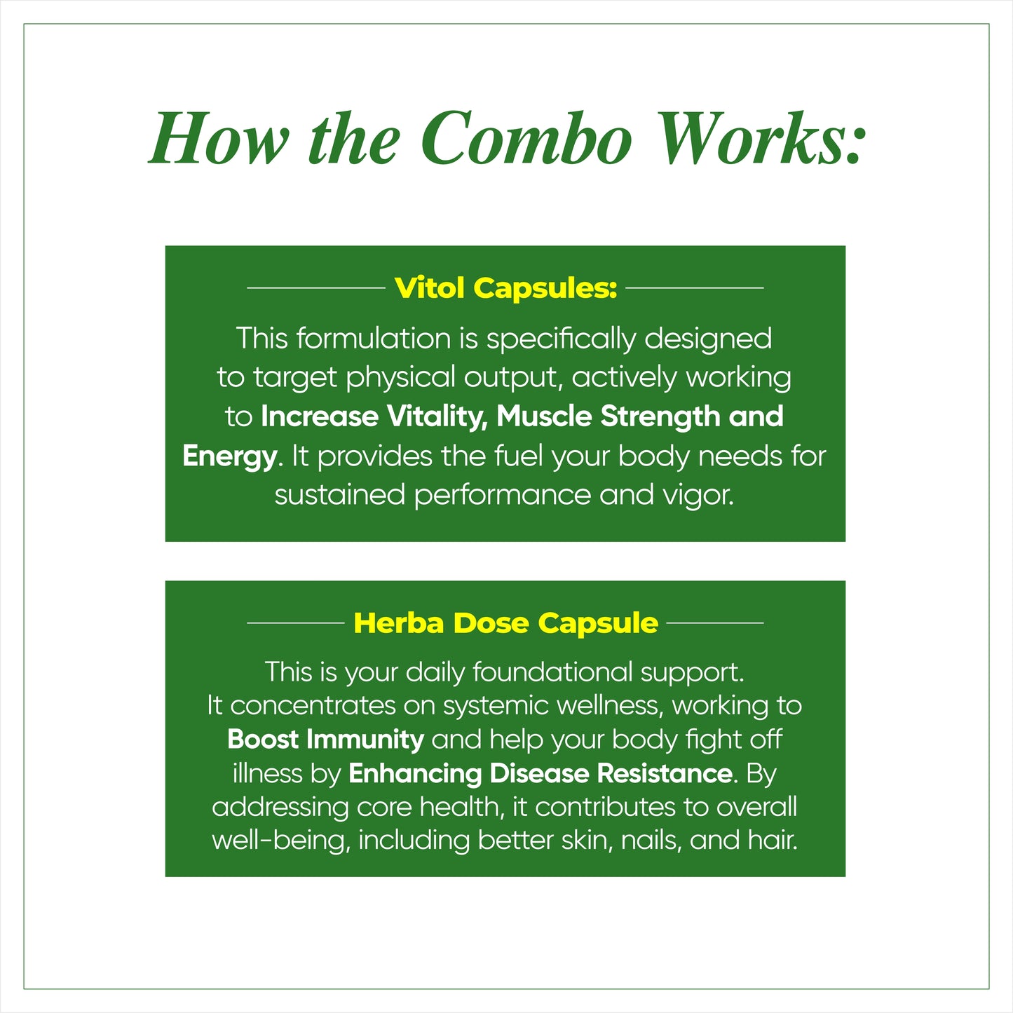 Dr Handa’s Ayurveda Vitality & Wellness Combo: Achieve Peak Performance